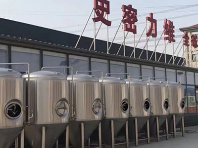 铜梁精酿啤酒设备厂—如何判断精酿啤酒设备的密封件需要更换？